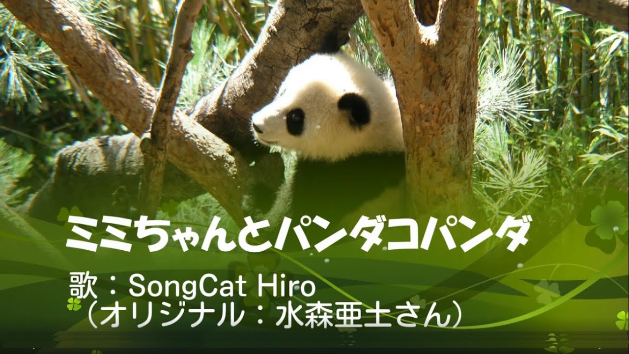 Tonton 【実はカラオケ世界一】『ミミちゃんとパンダ・コパンダ』（水森亜土）男性ボーカル 歌猫ヒロ SongCat Hiro di YouTube