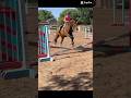 FIRST JUMP IN ALMOST 2 YEARS 🥹 #horse #equestrian #riding #haveitoldyoulatelythatiloveyou