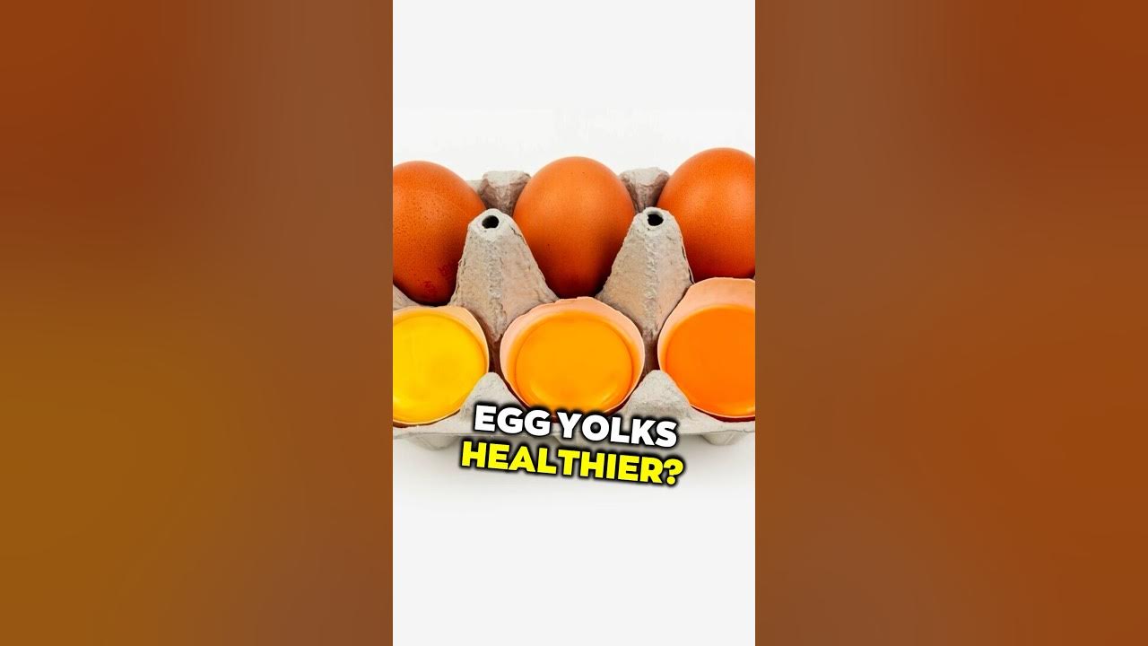 Egg Yolk Color Difference Brittle Egg Shells LiveLeanTV YouTube