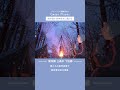 作業用BGM - 下田郷 | 暖かさ増す冬の静けさ(フルver.は▶️をクリック) #shorts #BGM #chill #animation #anime