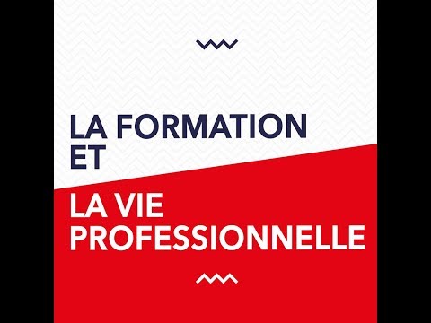 ISEN | La formation et la vie professionnelle // HELLO I AM ! #06