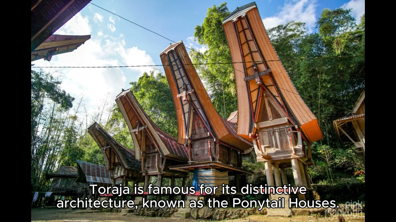 Indonesia Torajaland