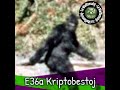 E36a - Kriptobestoj (Podkasto en Esperanto)