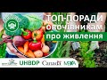 Як покращити засвоєння NPK в умовах Півдня України: топ порад овочівникам від БТУ-ЦЕНТР