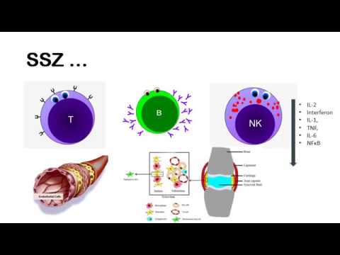 Video: Sulfasalazine-EN - Instruktioner För Användning Av Tabletter 500 Mg, Recensioner, Pris