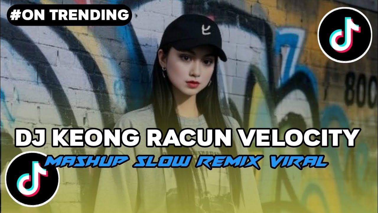 DJ KEONG RACUN VELOCITY MASHUP SLOW REMIX VIRAL TIKTOK TERBARU