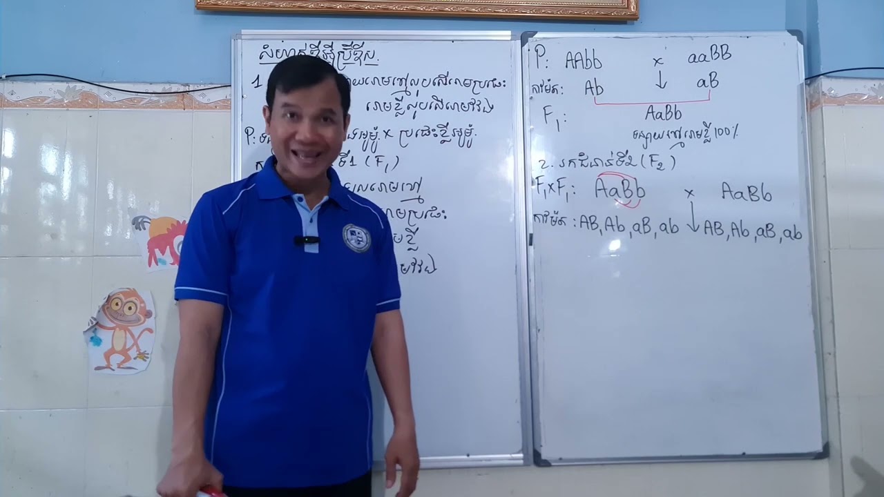 ជីវទី១១ លំហាត់ឌីអ៊ីប្រ៊ីឌីស​ លំហាត់លេខ១និងលេខ២
