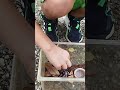 オックーTV ボツ動画流出
