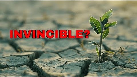 How Do Plants Survive in Extreme Environments?