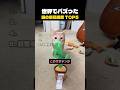 世界でバズった猫の反応速度