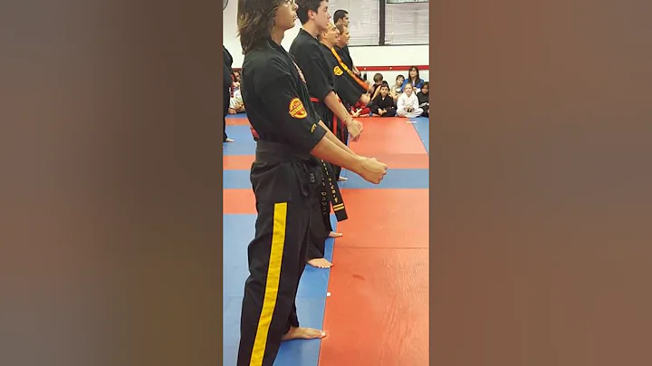 Black Belt Spectacular May 22, 2016  Photo credits...