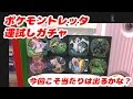運試しガチャ！ポケモントレッタ 今回こそ大当たりを!?　pokemon toretta