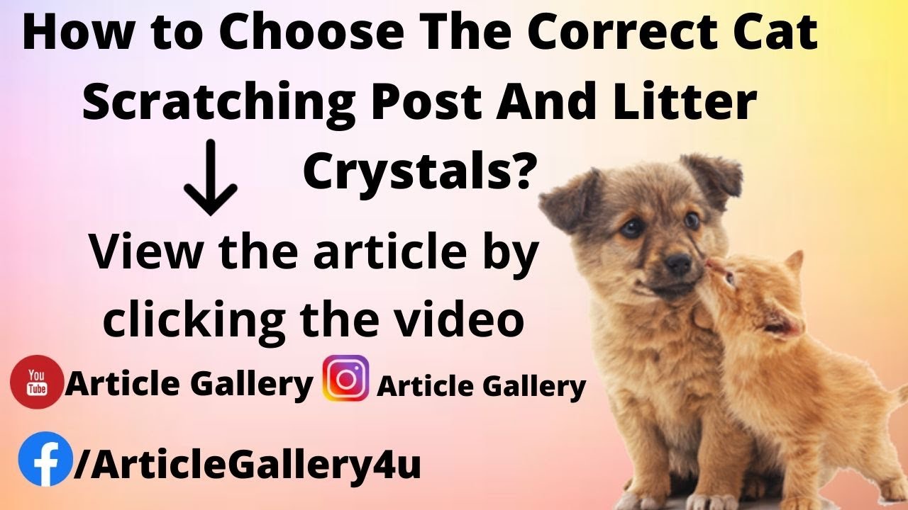 Illustration of Correcting Cat Scratching