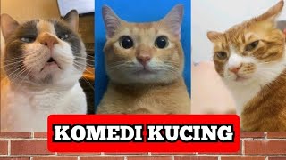 𝟯𝟬 𝗺𝗲𝗻𝗶𝘁! 𝗞𝘂𝗺𝗽𝘂𝗹𝗮𝗻 𝗸𝘂𝗰𝗶𝗻𝗴 𝗽𝗮𝗹𝗶𝗻𝗴 𝗹𝘂𝗰𝘂 𝗯𝗮𝗻𝗴𝗲𝘁 𝗯𝗶𝗸𝗶𝗻 𝗻𝗴𝗮𝗸𝗮𝗸