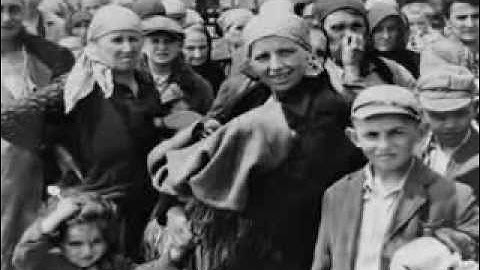 The Path to Nazi Genocide