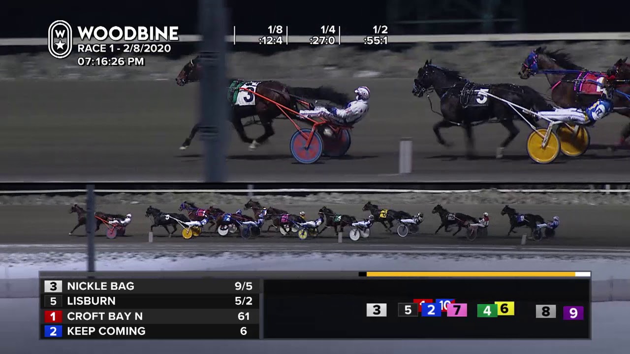 Woodbine, Mohawk Park, February 8, 2020 Race 1 - YouTube