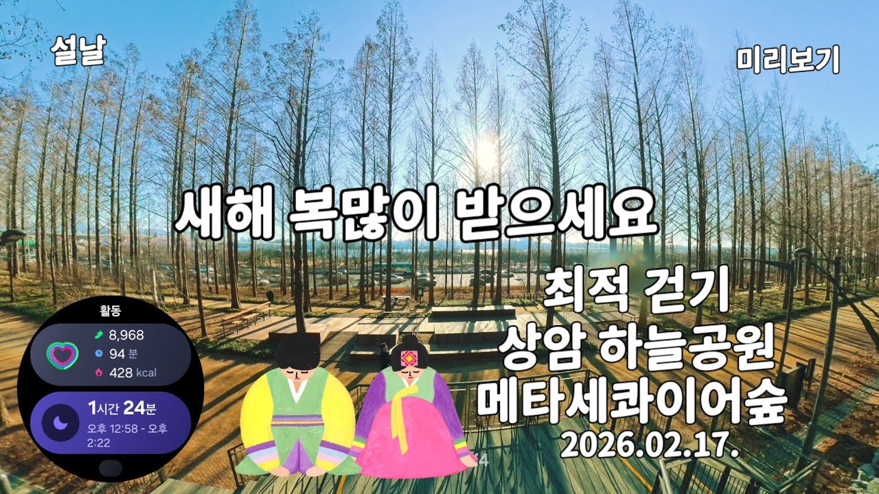 2026.02.17.설날오후 하늘공원 메타세콰이어숲 그리고 하늘공원 억새들녁 걷다 