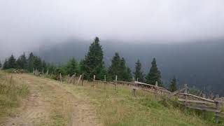 Benim İlacım Yayla