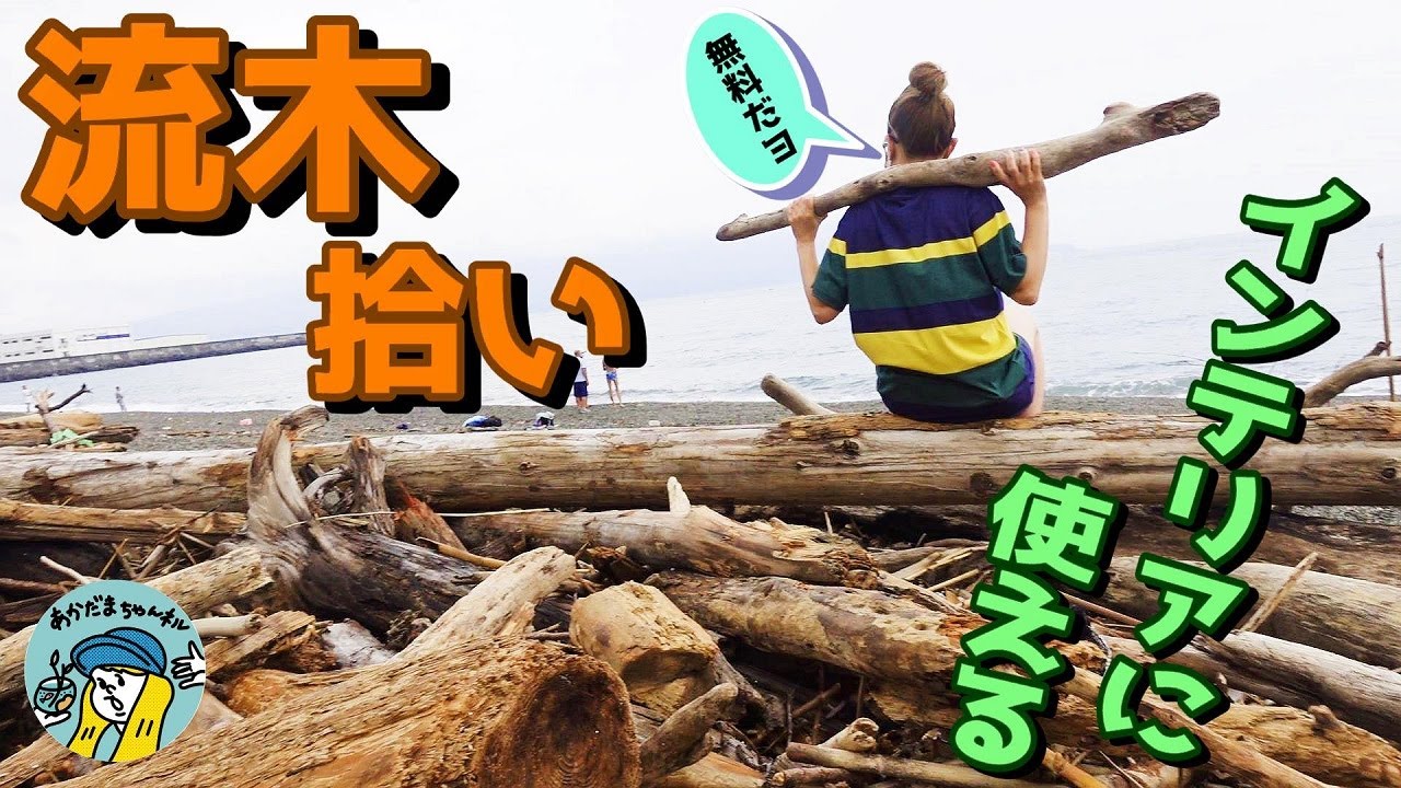 How to get free driftwood (Pick up driftwood for interior