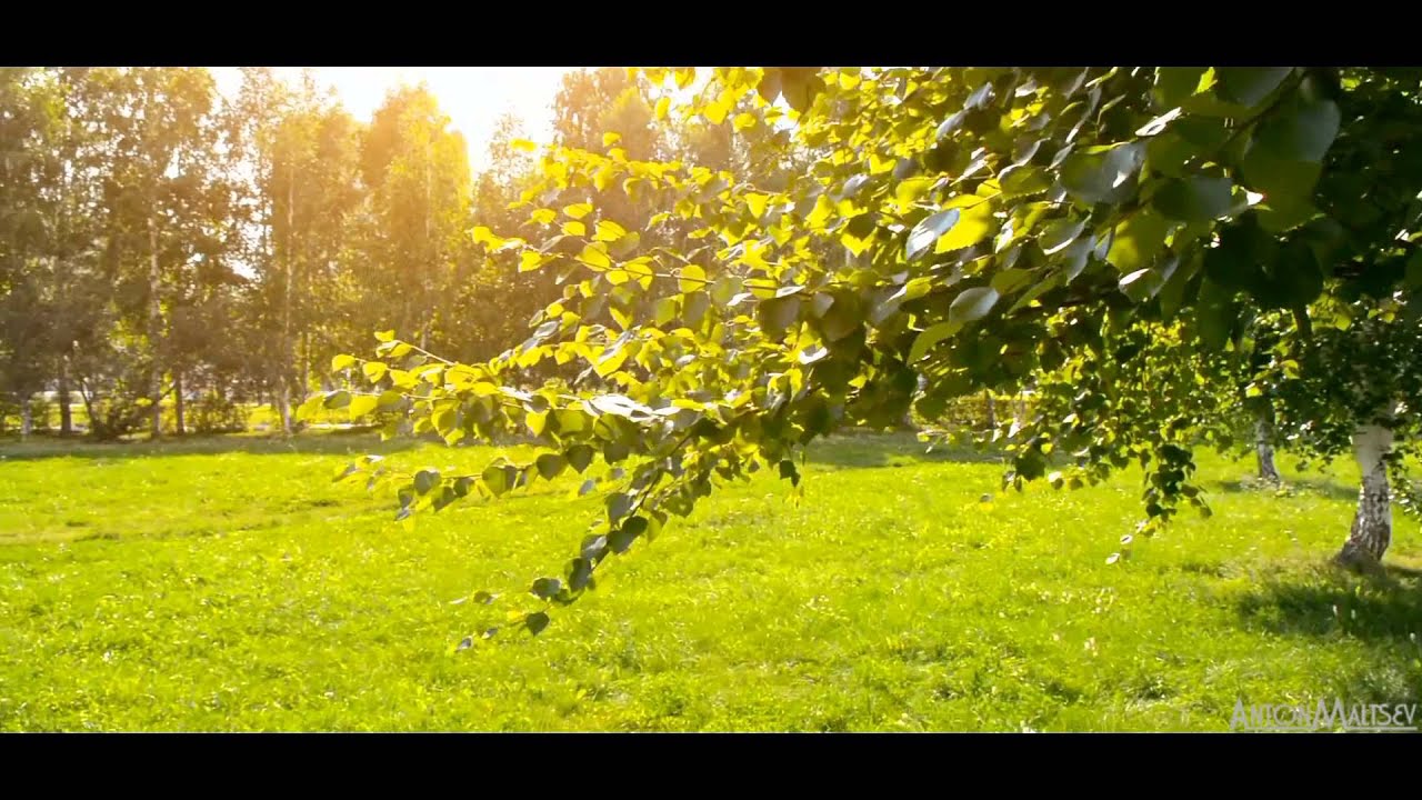 Солнечный день - YouTube