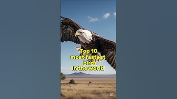 Top 10 most fastest bird in the world 😱 #viralvideo #ytshorts #trending #birds
