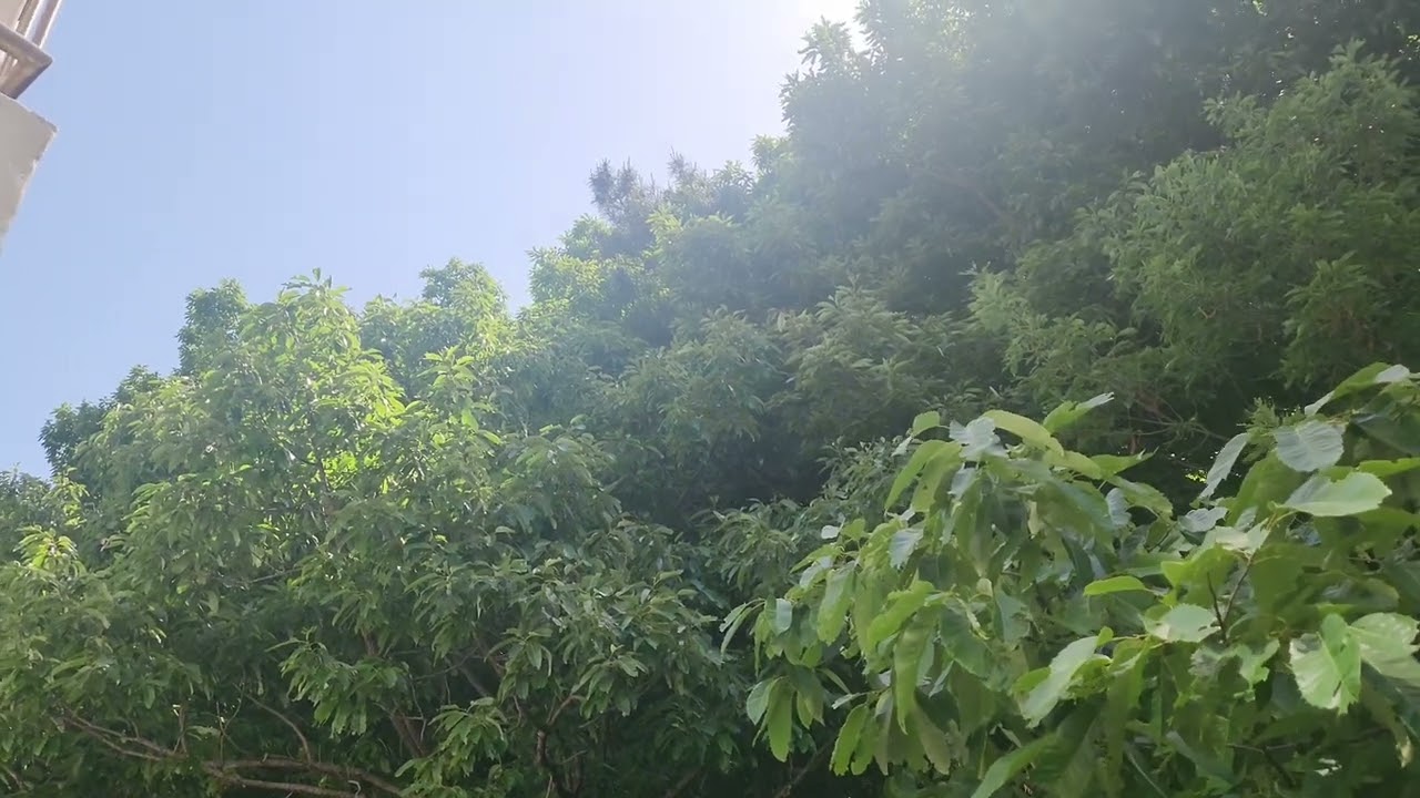 Fresh Air～Open the Window