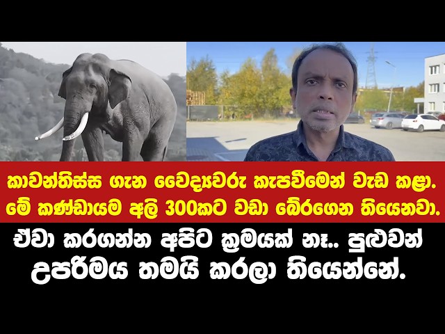 "රෝහලටයන හැම රෝගියම බේරිල එන්නෑ",උපරිමය කරලා තියෙන්නේ, බනින්නෙපා. - වෛද්‍ය ජගත් ජයසේකර