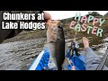 Pre Spawn Bass Fishing at Lake Hodges | San Diego, CA