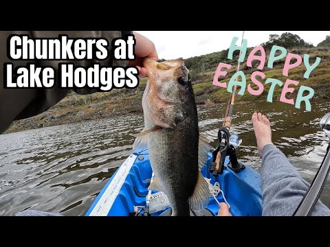 Pre Spawn Bass Fishing at Lake Hodges | San Diego, CA