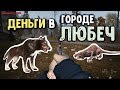 STALKER ОНЛАЙН / Зарабатываем деньги на собаках и крысах