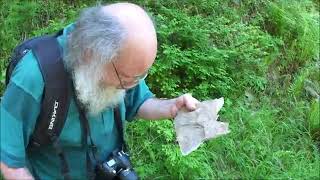 Lockwood Explains Hornfels