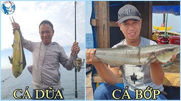 Câu Cá Lớn Tập 1 - Gặp Ngay Cá Bớp, Cá Dũa Cắn Câu | Tiến Bens - Fishing | 4K