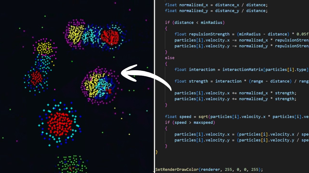 Simulating Particle Life in C++ - YouTube
