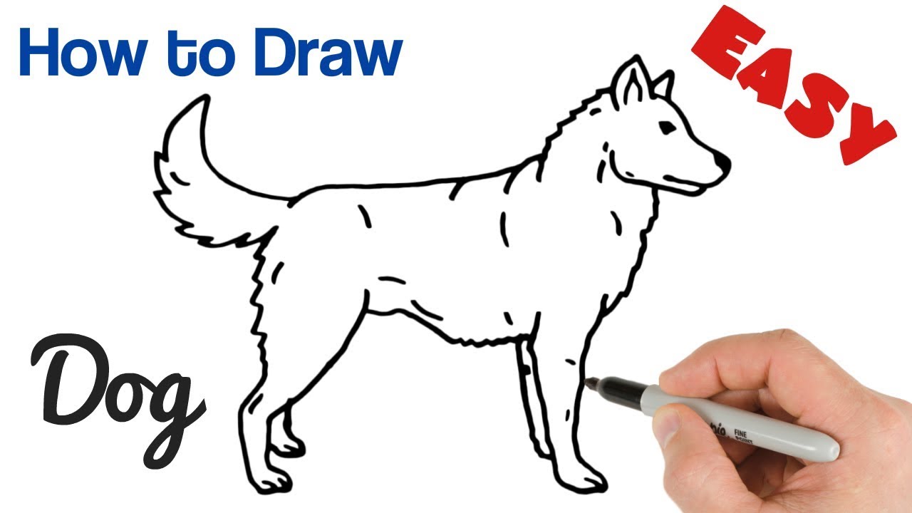 How to Draw a Dog Easy Step by Step | Animals Drawings for Beginners - YouTube