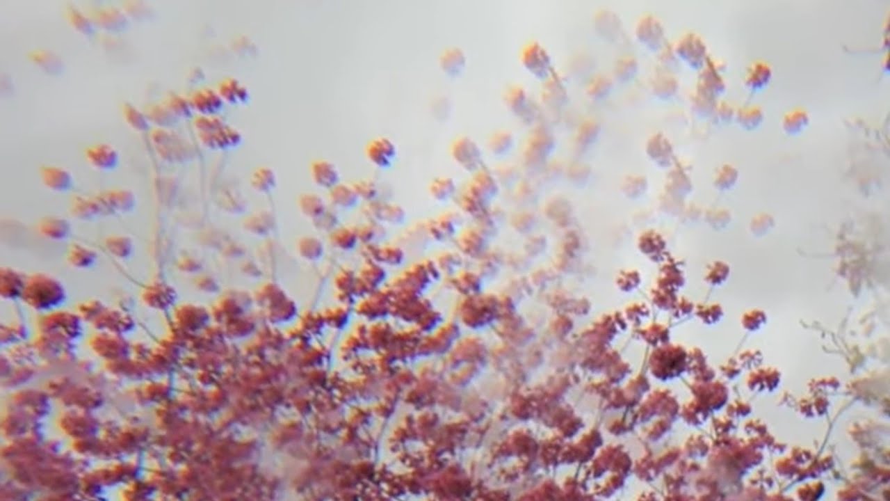 Brice Salek - Meditation Dream