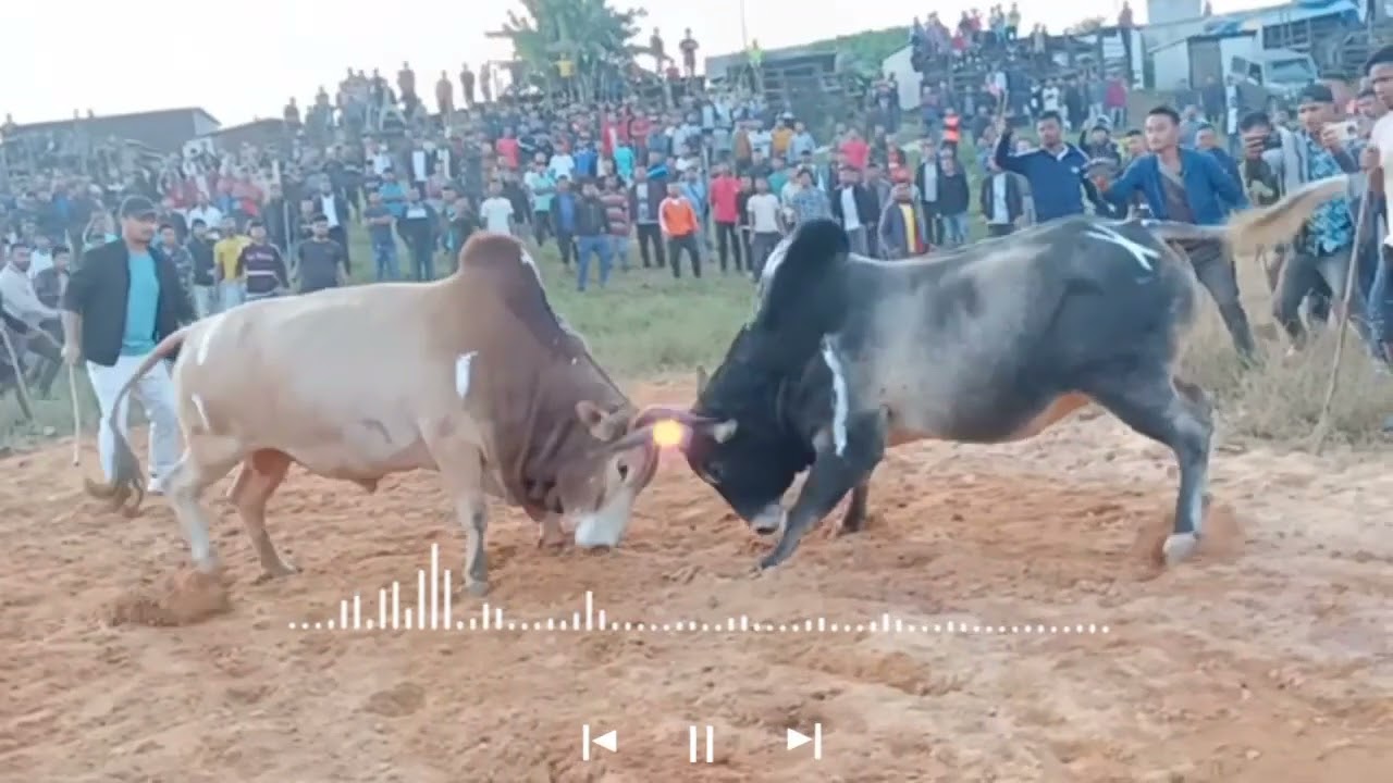 Ha shwa  wa da jop u Satya  ia u stem  today (all the best) (Satya)21 //10// 223