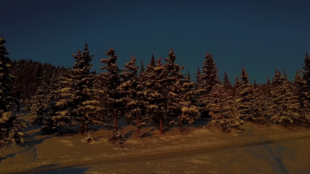 Climbing heights hill in bear valley anchorage Alaska YouTube