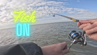 Bayside Wade Fishing | Galveston Bay