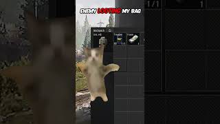 Download Lagu Best ABI Loadout 🤣 #arenabreakoutpc  #arenabreakoutinfinite   #abiseasonignition   #abicreation MP3