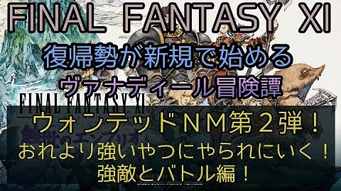 Ff11 ウォンテッド おすすめ