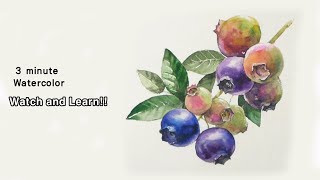 [ 3 minute Watercolor - Watch and Learn ] Blueberry. NAMIL ART