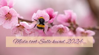 Mida toob Sulle kevad 2024…🌼☀️😇