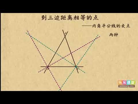 14到三边距离相等的点     三角形的证明   初中数学