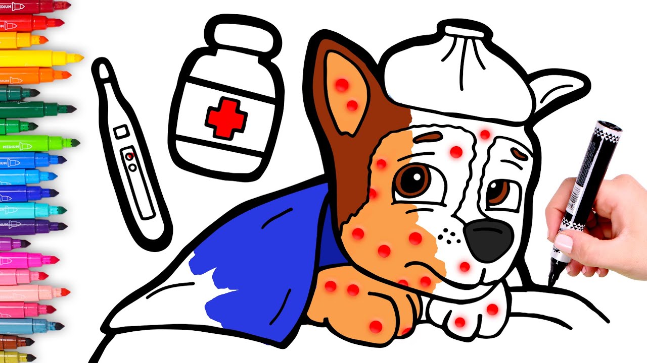 PAW PATROL 🐾 Colorea a CHASE con varicela 🐶🩹🩺 Dibujos para niños - YouTube paw-patrol-colorea-a-chase-con-varicela-dibujos-para-ni-os-youtube