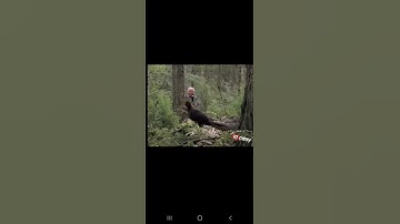 David Attenborough Song Birds