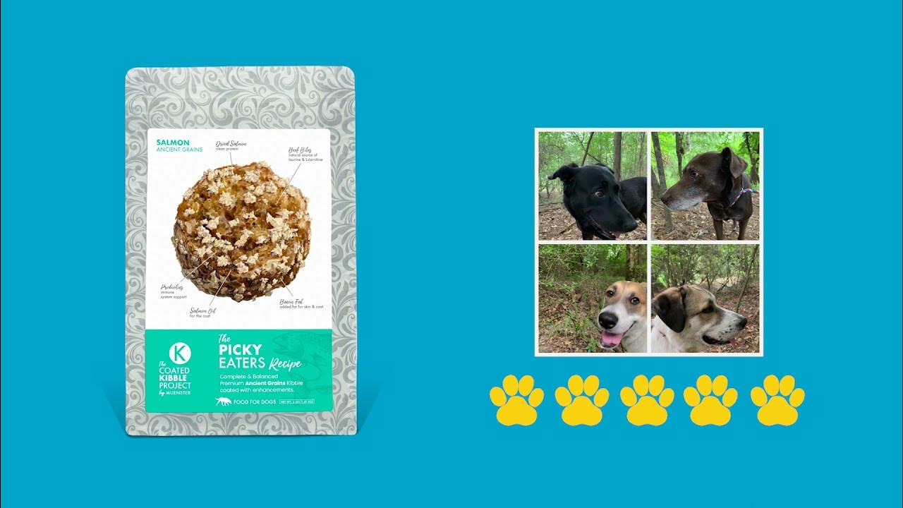 Muenster Coated Kibble for Picky Eaters Dogs Kevin YouTube