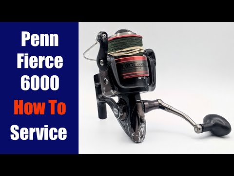 Penn Powergraph 4000 - How to take apart, service & reassemble - Fishing reel  repair 