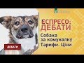 Собака за комуналку та земельна реформа | Еспресо: Дебати