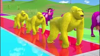 https://youtube.com/shorts/h1Ho3DJtusU?si=5rnqtTNggHG1TMIy