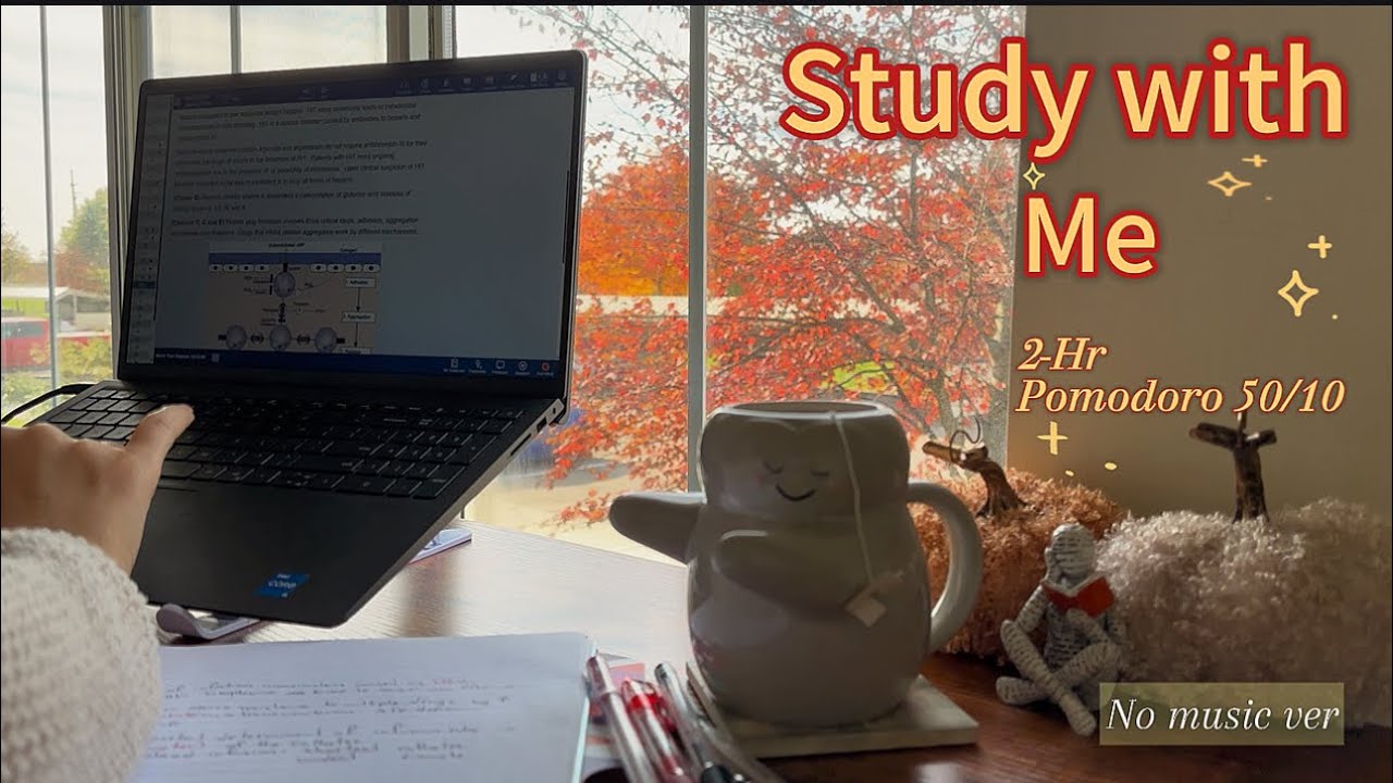 2-HOUR study with me | Pomodoro 50/10 | no music | background noise ...